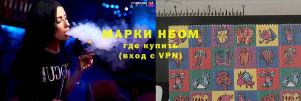 индика Горняк