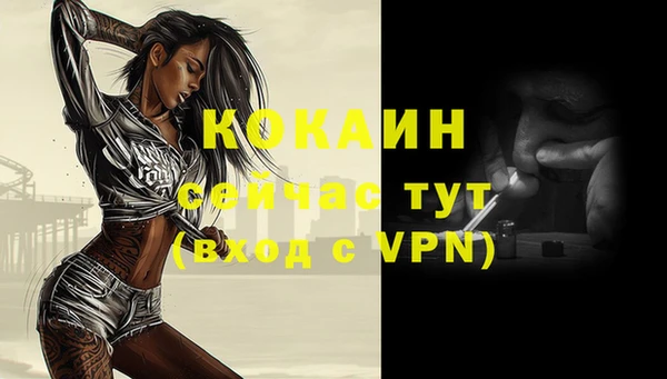 индика Горняк