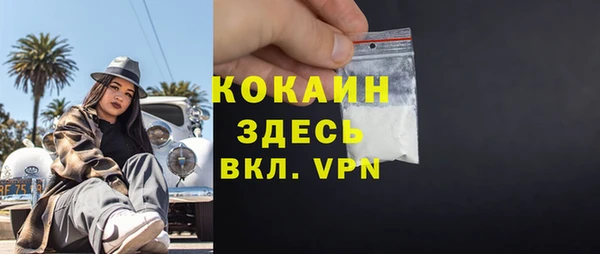 индика Горняк