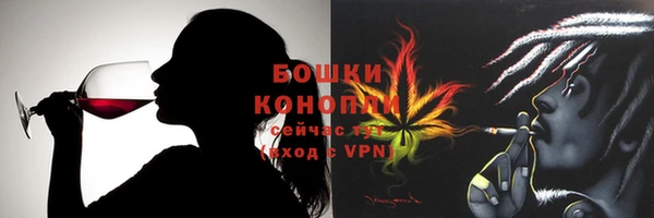 индика Горняк