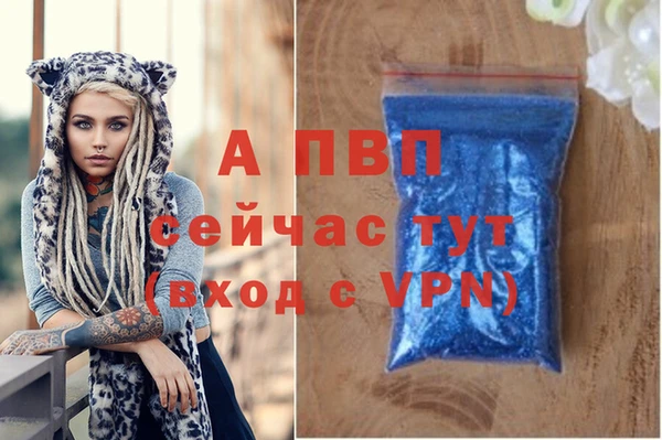 индика Горняк