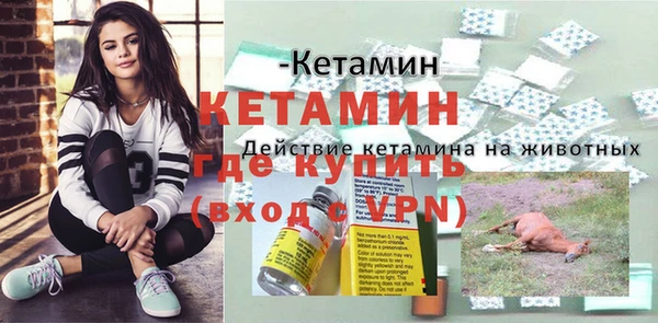 индика Горняк