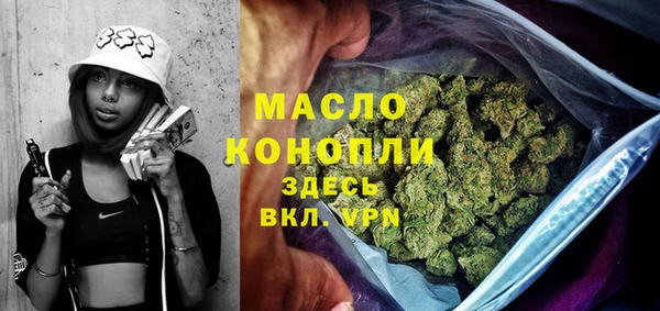 индика Горняк