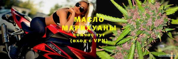 индика Горняк