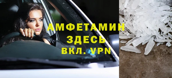 индика Горняк