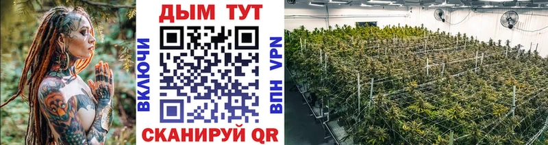 Марихуана SATIVA & INDICA  Завитинск 